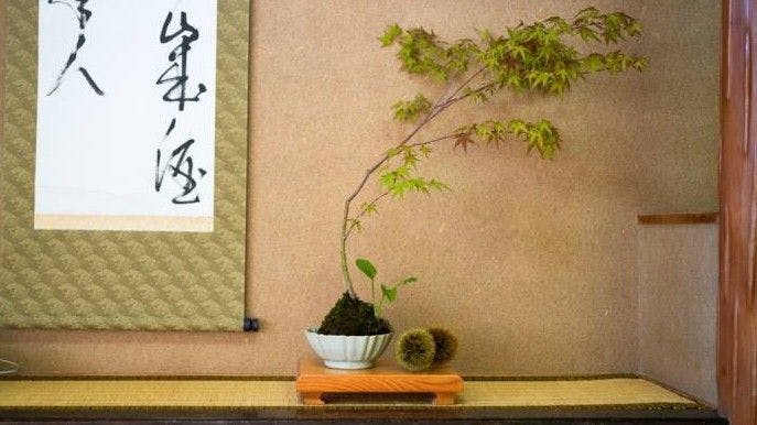 Kurokawa Onsen Ryokan Misato