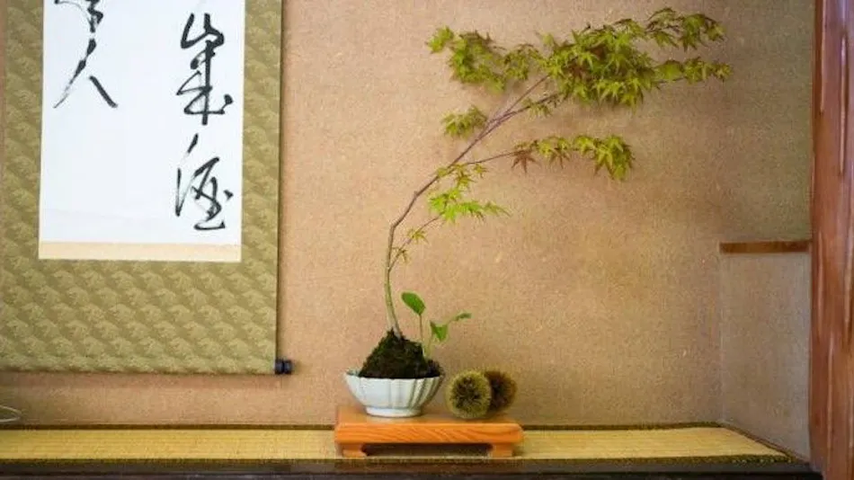 Kurokawa Onsen Ryokan Misato