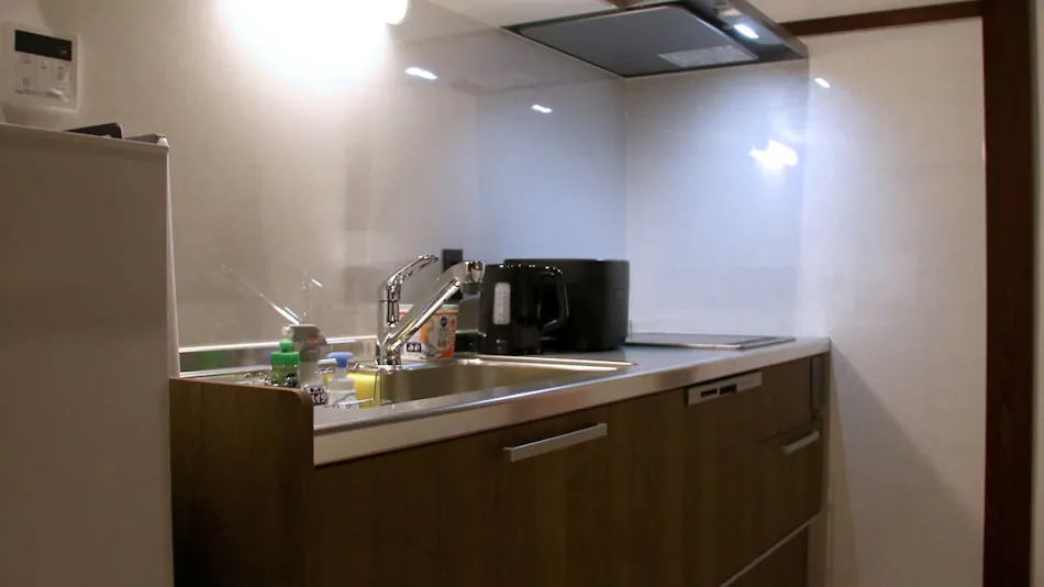 Ryusuke 25 ANNEX
