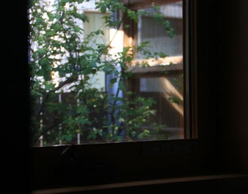 【群青の間】外の庭の風景