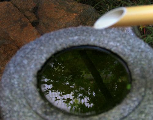 【群青の間】外の庭の風景