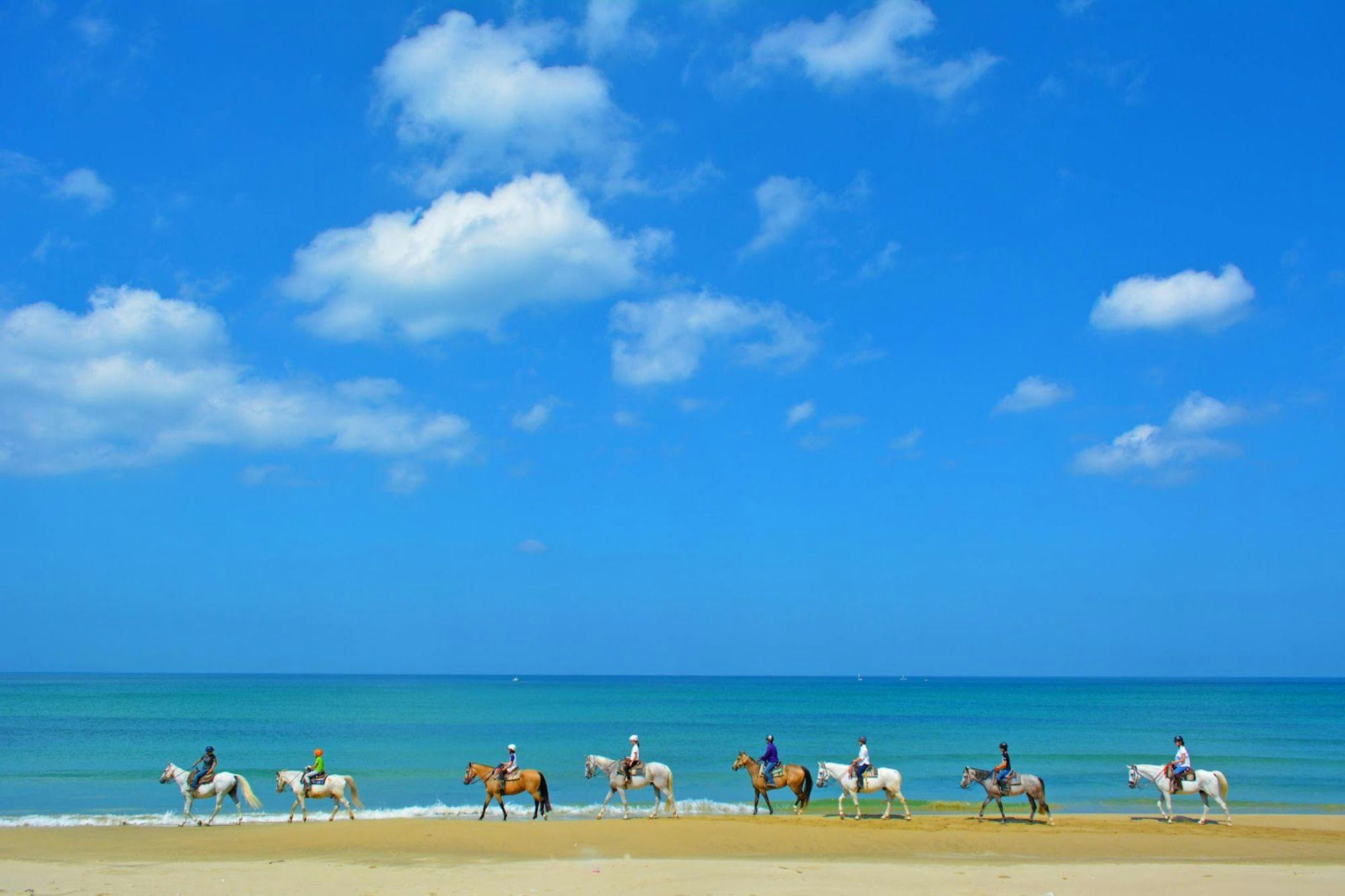 Pemula sangat disambut! Rencana Pengalaman Berkuda di Pantai