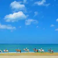 Pemula sangat disambut! Rencana Pengalaman Berkuda di Pantai