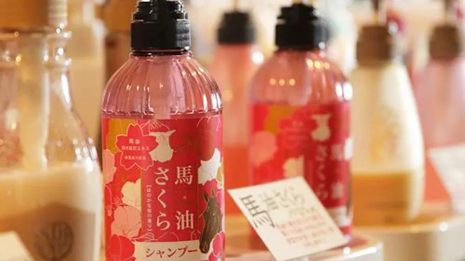 Mitsuishi Kombu Onsen Kurazo