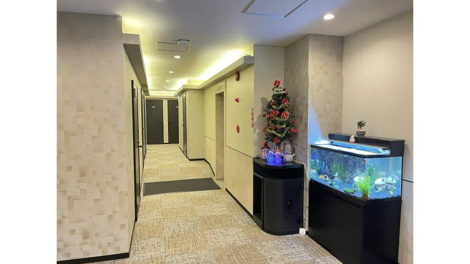 Ogaki Hiyori Hotel