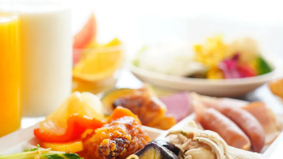 Rembrandt Inn Kazusa