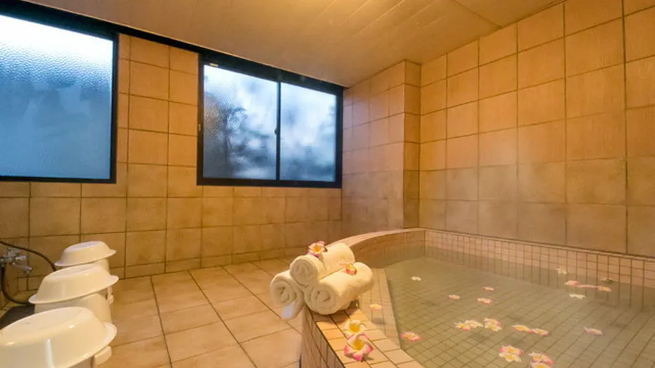 Rembrandt Inn Kazusa