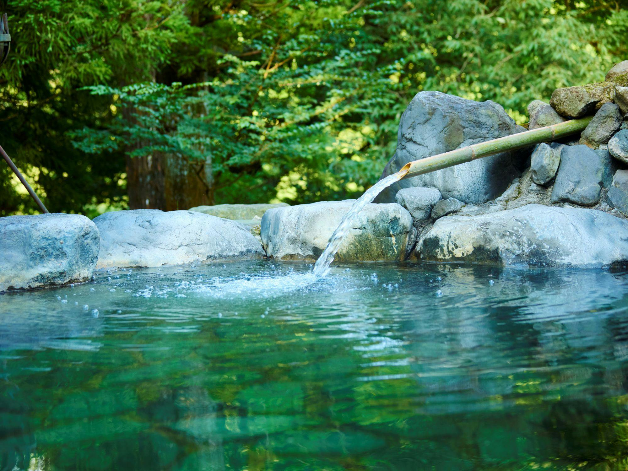 Traditional Japanese Retreat with Your Beloved Dog - Akagi Mountain - Natsukashi