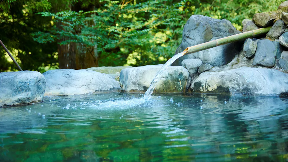 Traditional Japanese Retreat with Your Beloved Dog - Akagi Mountain - Natsukashi