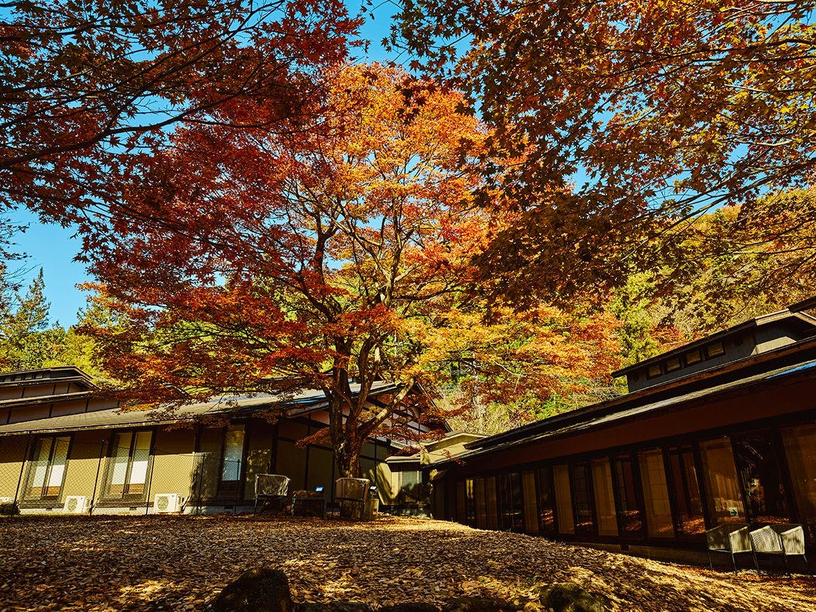 Traditional Japanese Retreat with Your Beloved Dog - Akagi Mountain - Natsukashi