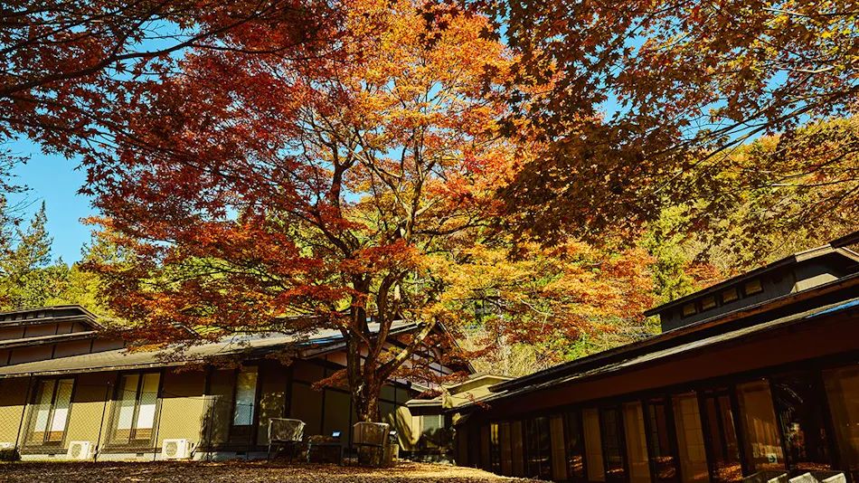 Traditional Japanese Retreat with Your Beloved Dog - Akagi Mountain - Natsukashi