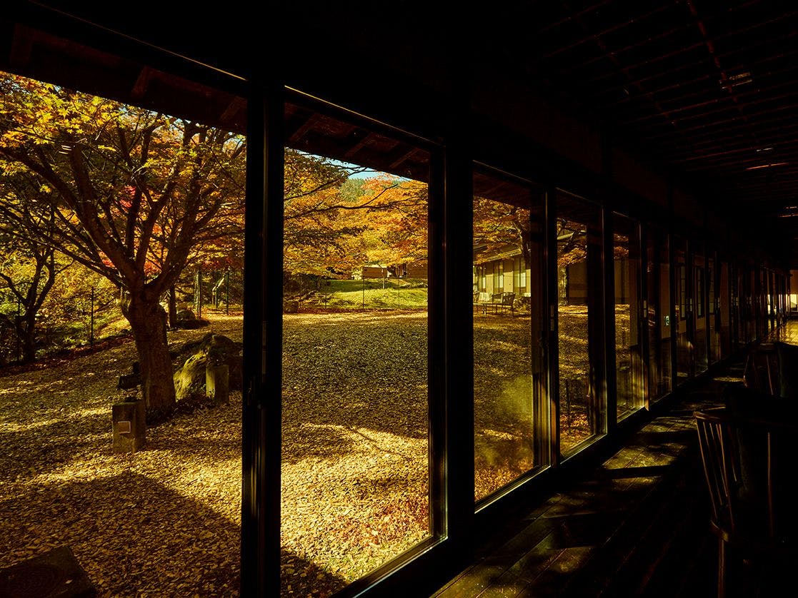 Traditional Japanese Retreat with Your Beloved Dog - Akagi Mountain - Natsukashi