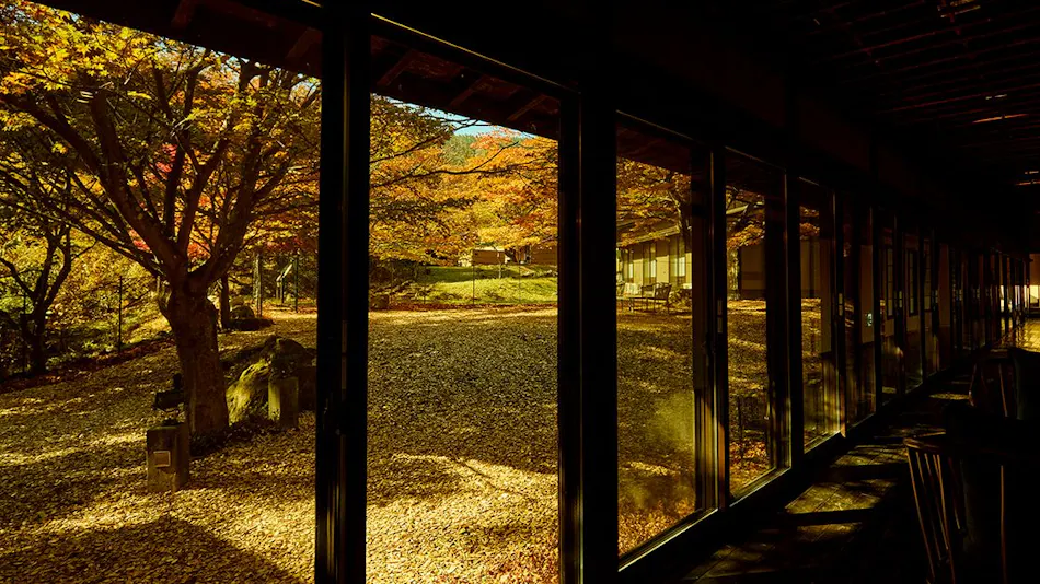 Traditional Japanese Retreat with Your Beloved Dog - Akagi Mountain - Natsukashi