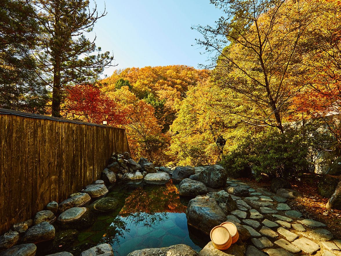 Traditional Japanese Retreat with Your Beloved Dog - Akagi Mountain - Natsukashi