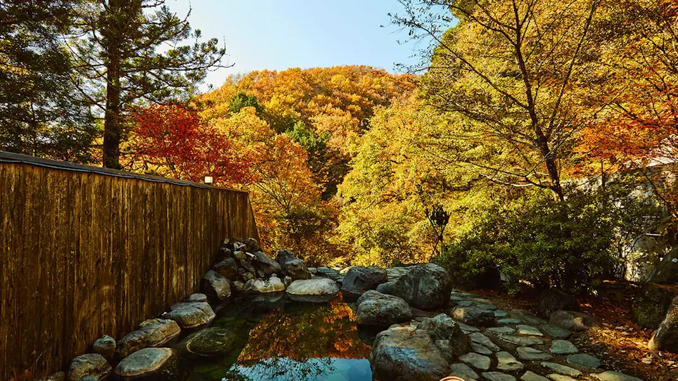 Traditional Japanese Retreat with Your Beloved Dog - Akagi Mountain - Natsukashi