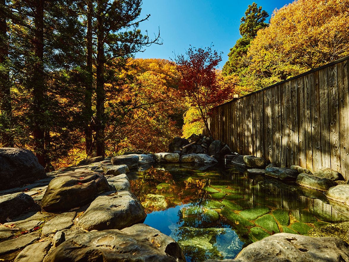 Traditional Japanese Retreat with Your Beloved Dog - Akagi Mountain - Natsukashi