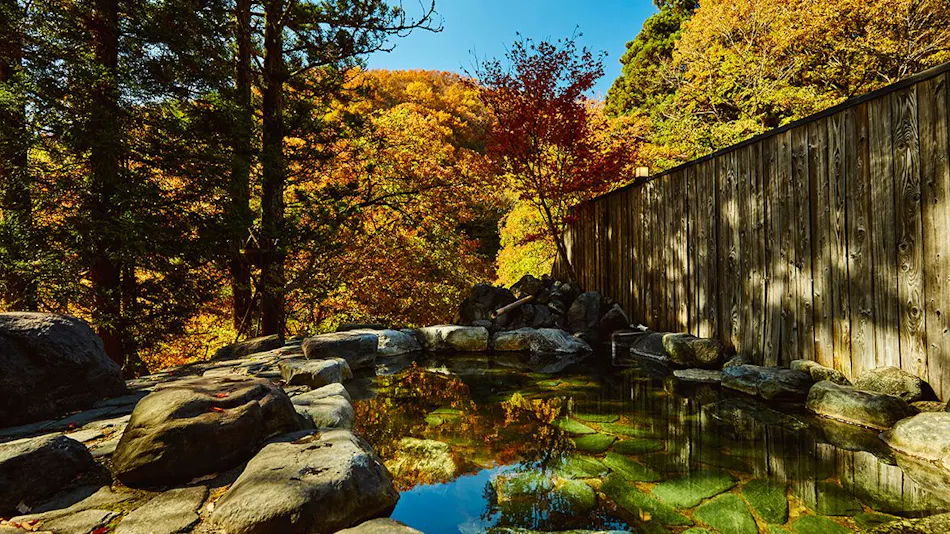Traditional Japanese Retreat with Your Beloved Dog - Akagi Mountain - Natsukashi