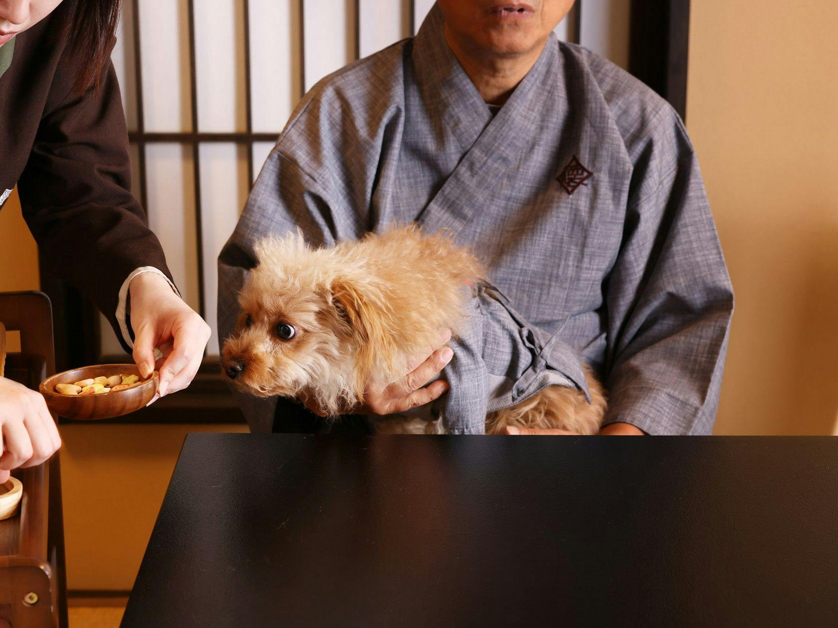 Traditional Japanese Retreat with Your Beloved Dog - Akagi Mountain - Natsukashi