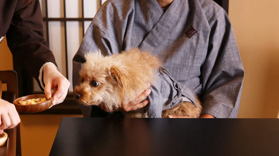 Traditional Japanese Retreat with Your Beloved Dog - Akagi Mountain - Natsukashi