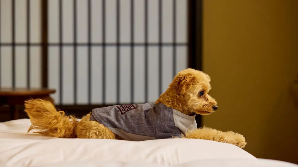 Traditional Japanese Retreat with Your Beloved Dog - Akagi Mountain - Natsukashi