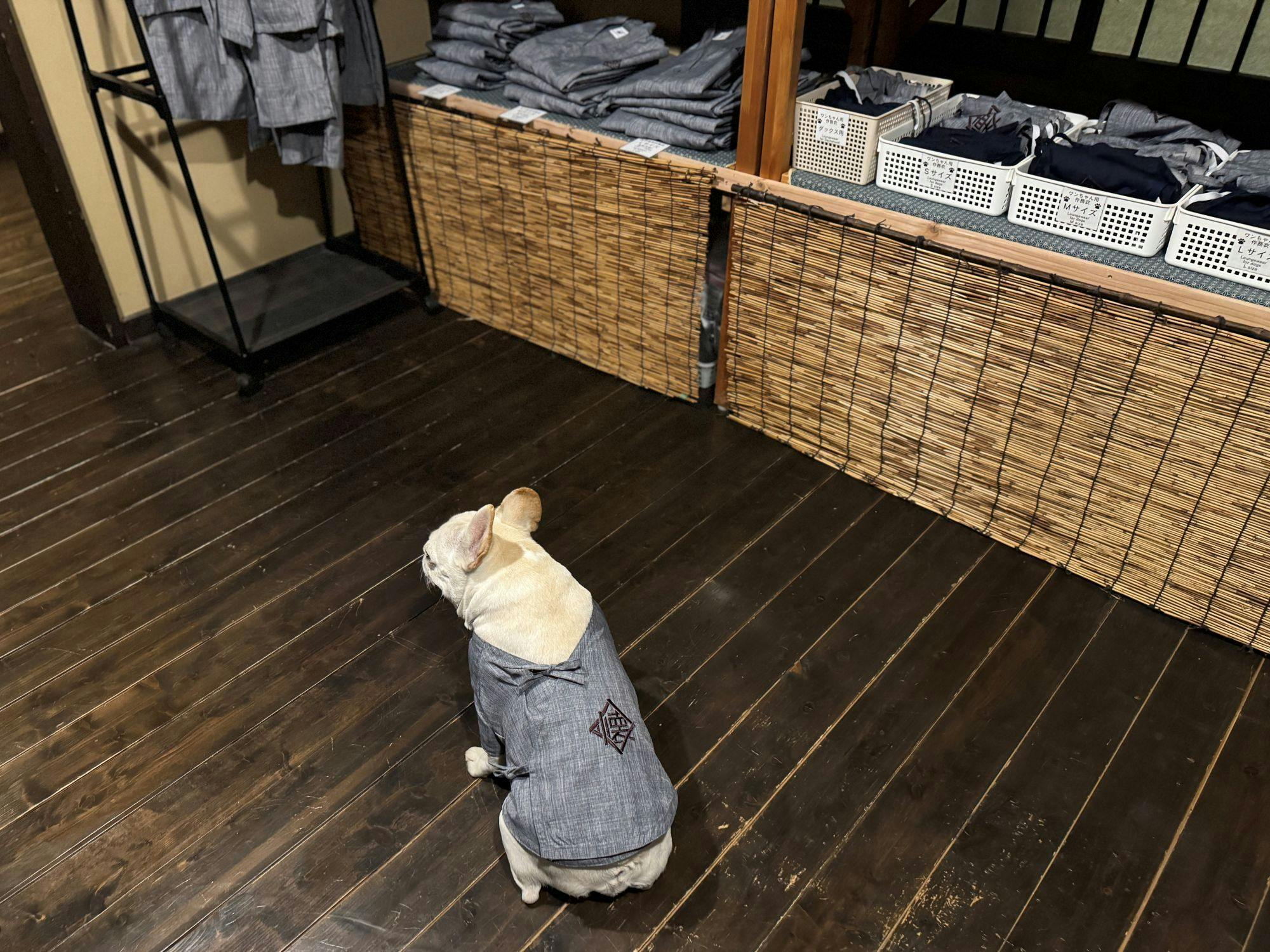 Traditional Japanese Retreat with Your Beloved Dog - Akagi Mountain - Natsukashi