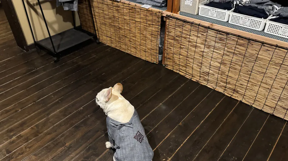 Traditional Japanese Retreat with Your Beloved Dog - Akagi Mountain - Natsukashi