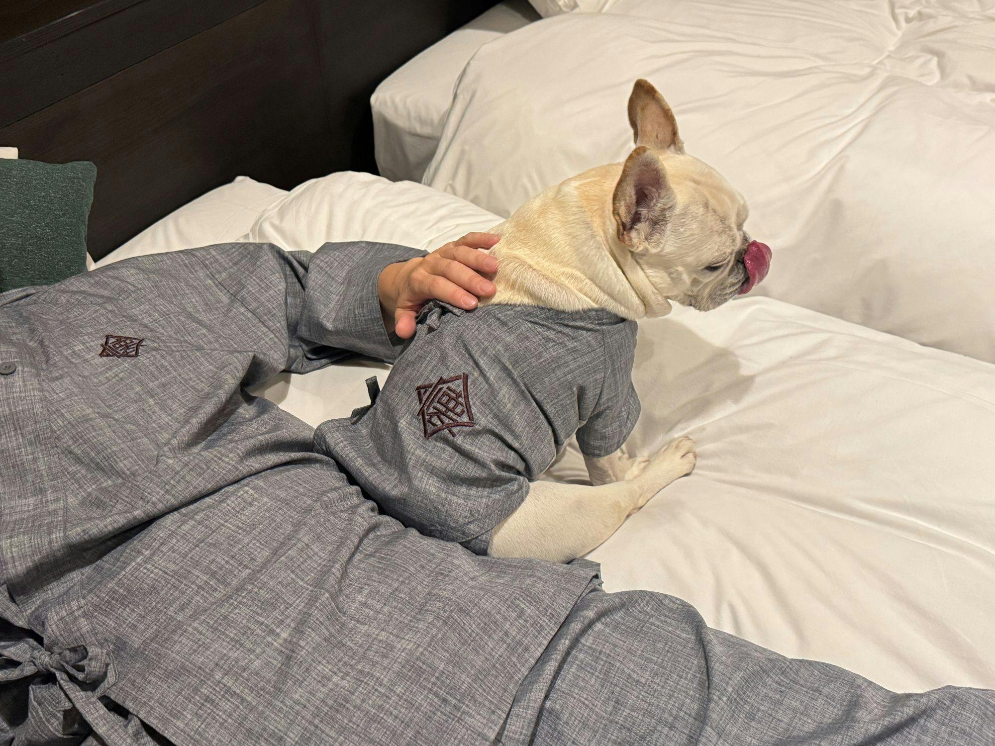 Traditional Japanese Retreat with Your Beloved Dog - Akagi Mountain - Natsukashi