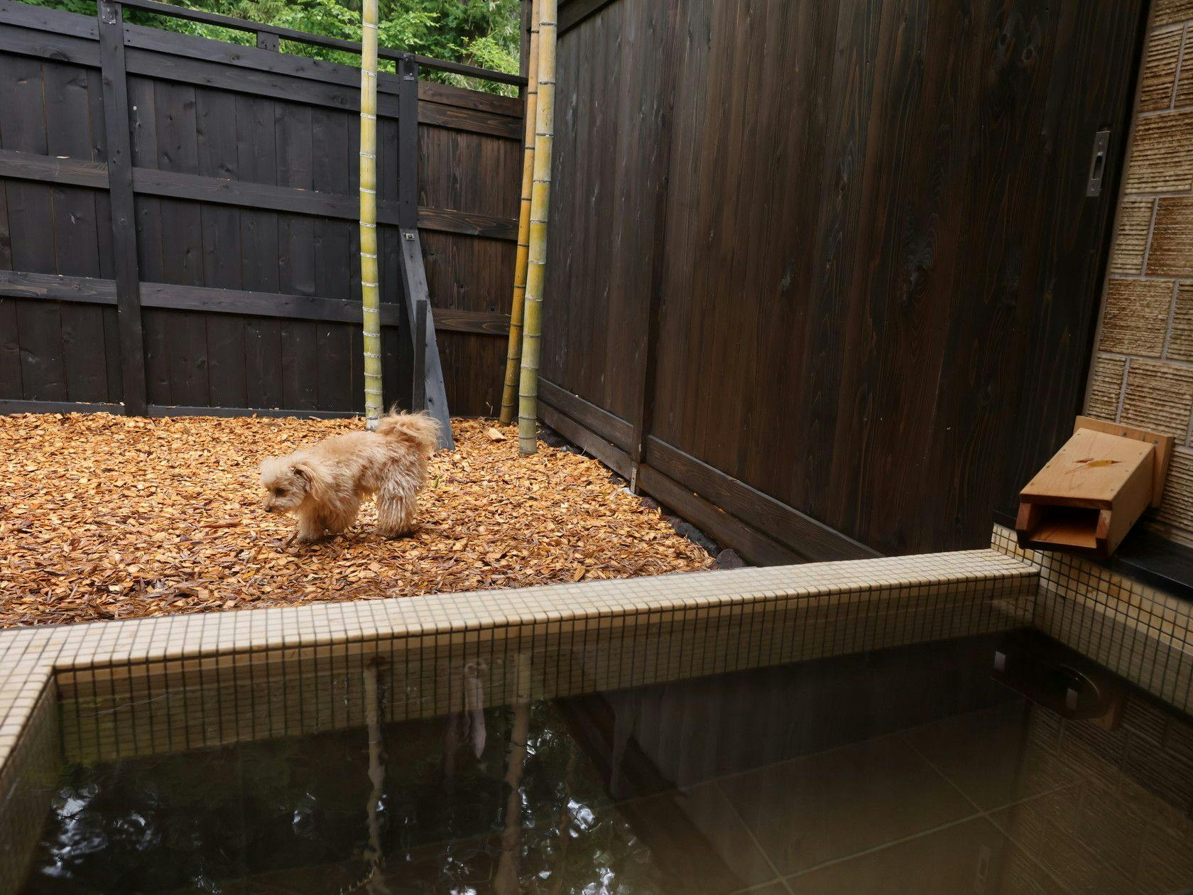 Traditional Japanese Retreat with Your Beloved Dog - Akagi Mountain - Natsukashi