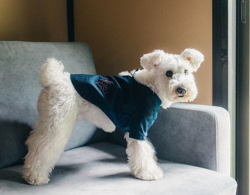 お揃いの作務衣でお過ごしください