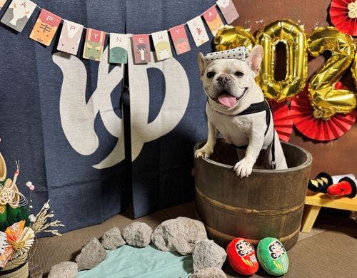 季節ごとに変わるフォトスポット