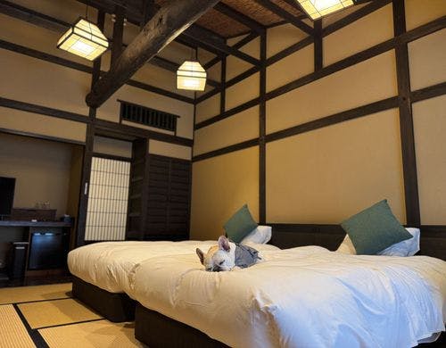 ベッドでくつろぐわんちゃん