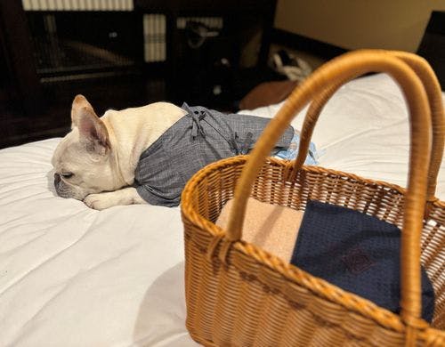 ベッドでまったり