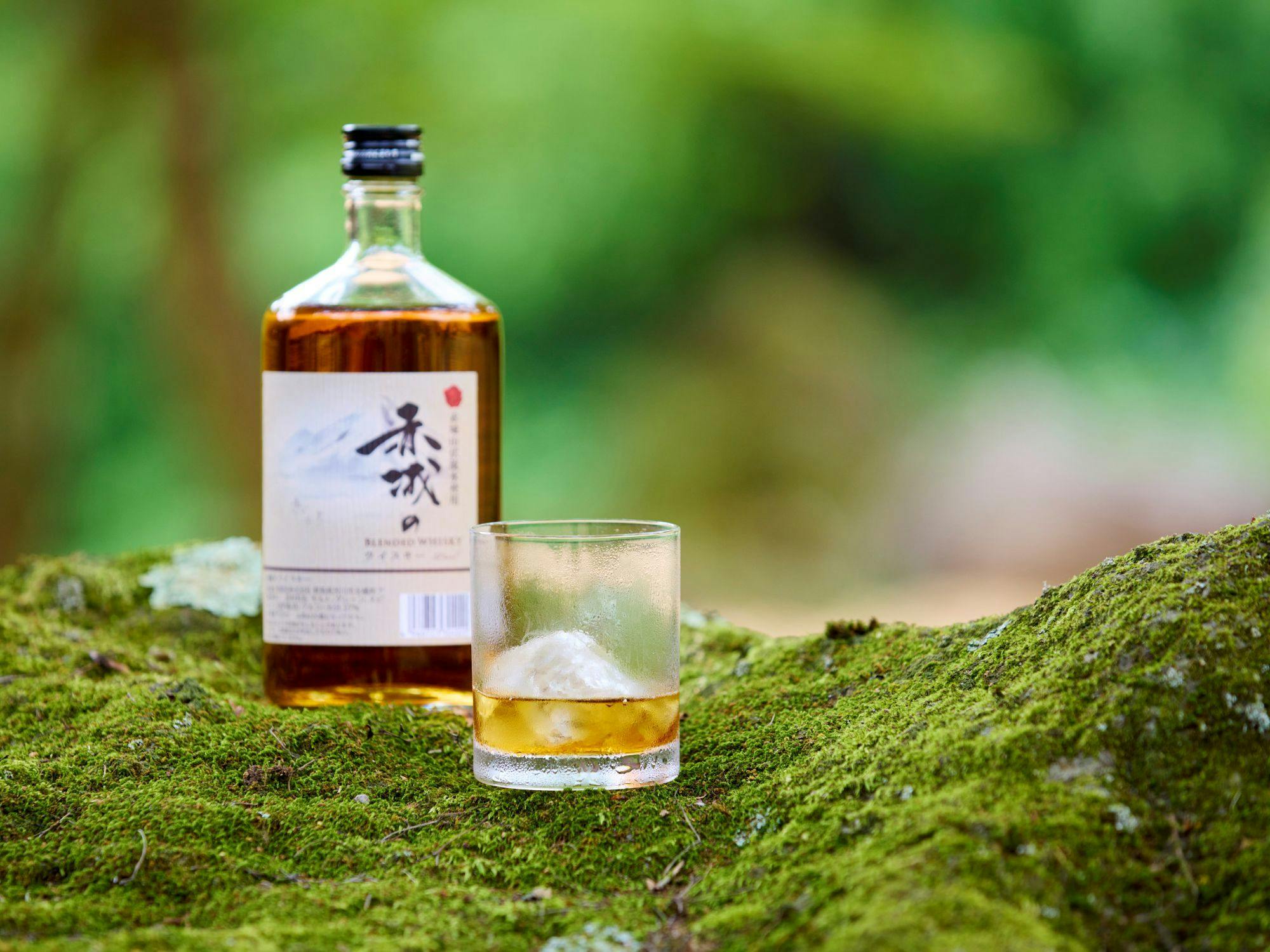 Traditional Japanese Retreat with Your Beloved Dog - Akagi Mountain - Natsukashi
