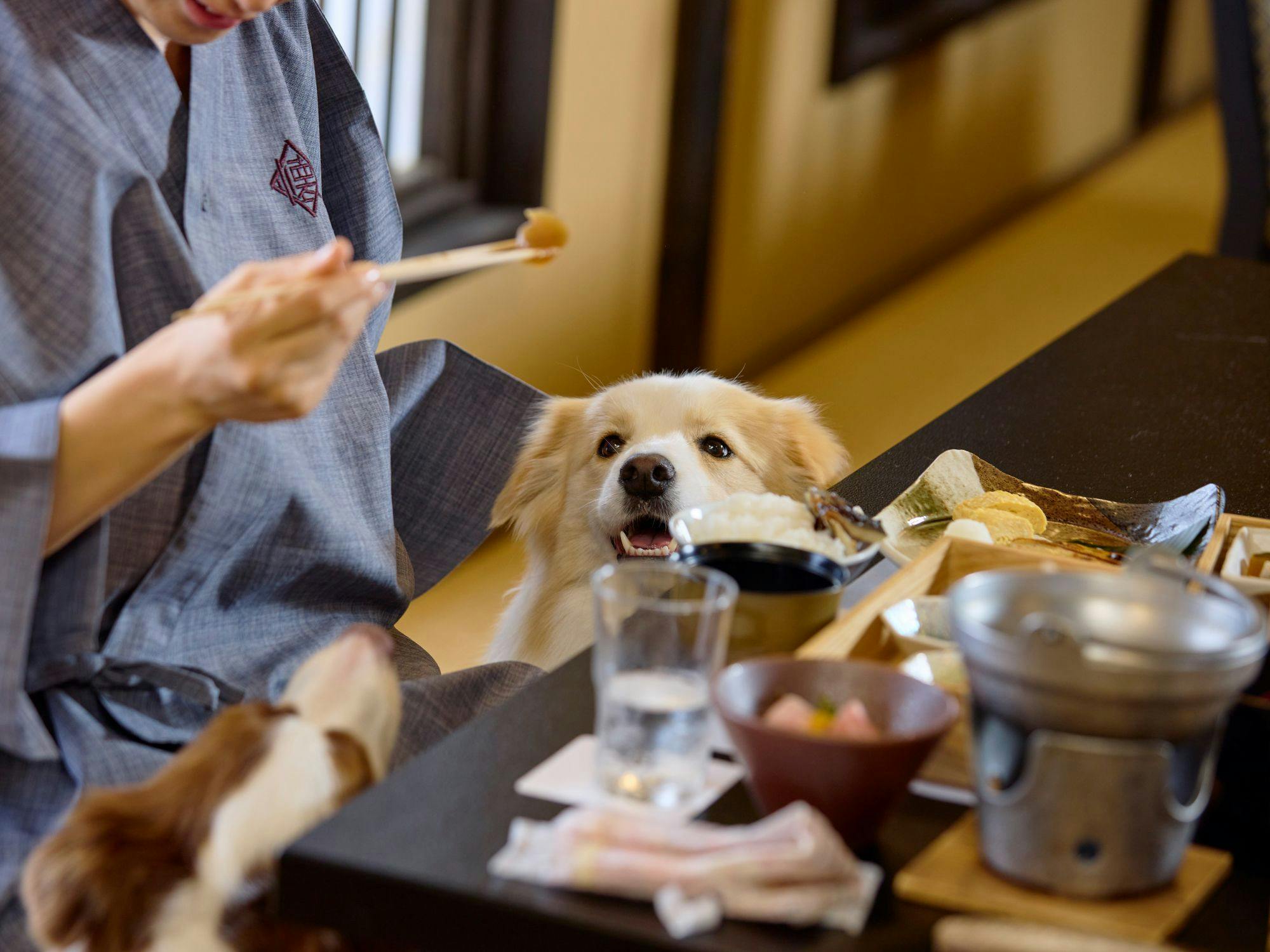 【ร้านอาหาร】