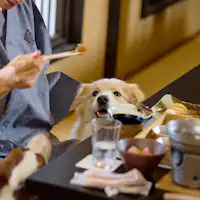 【ร้านอาหาร】