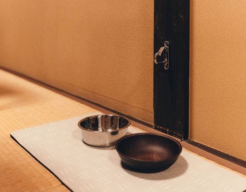 【わんちゃん用】