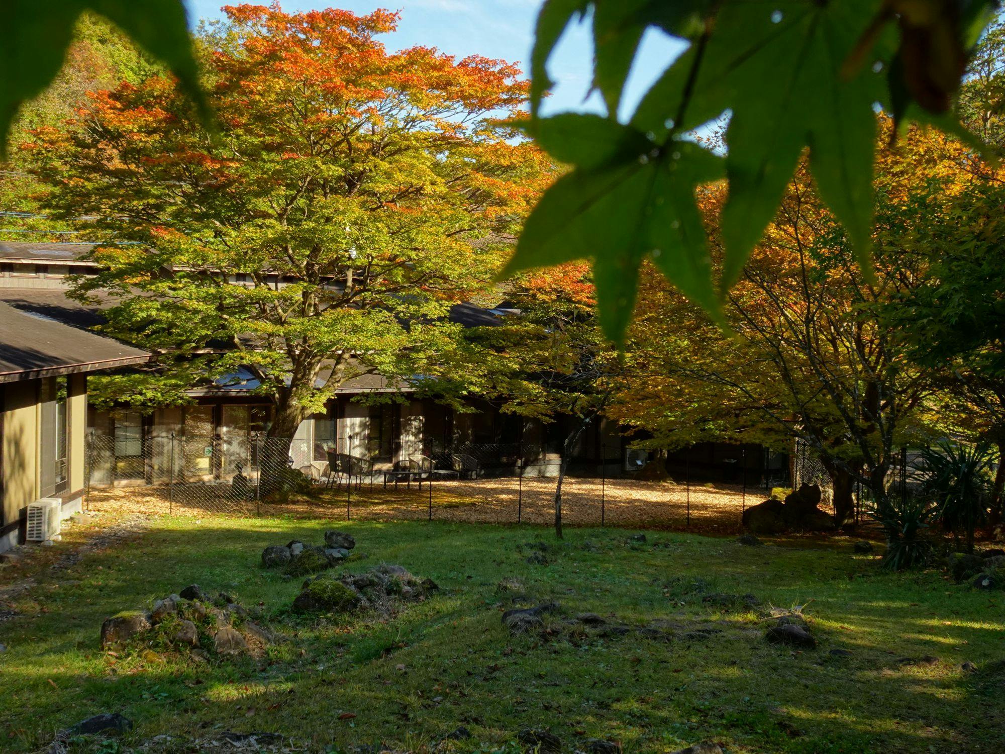 Traditional Japanese Retreat with Your Beloved Dog - Akagi Mountain - Natsukashi
