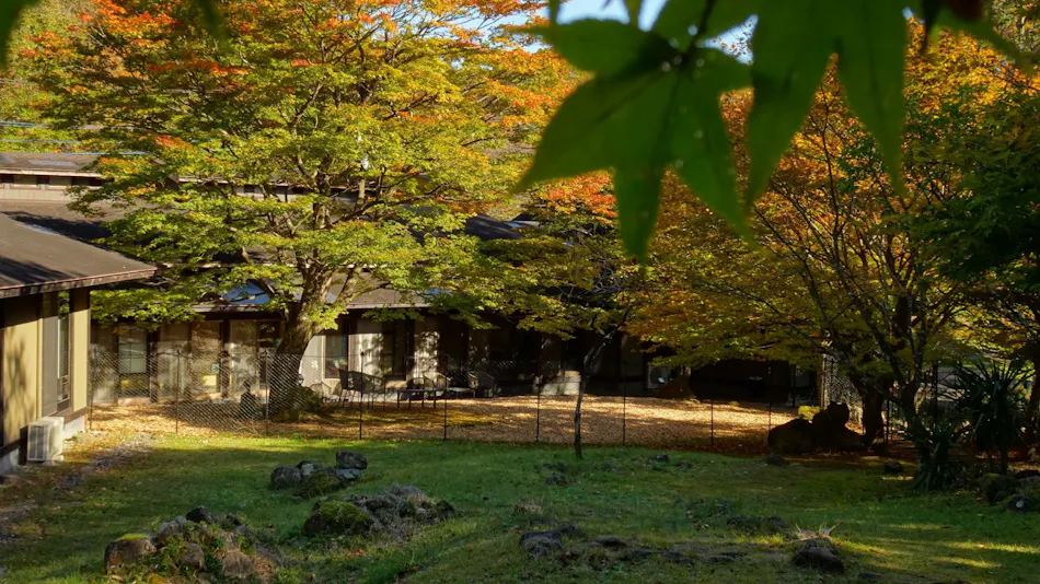 Traditional Japanese Retreat with Your Beloved Dog - Akagi Mountain - Natsukashi