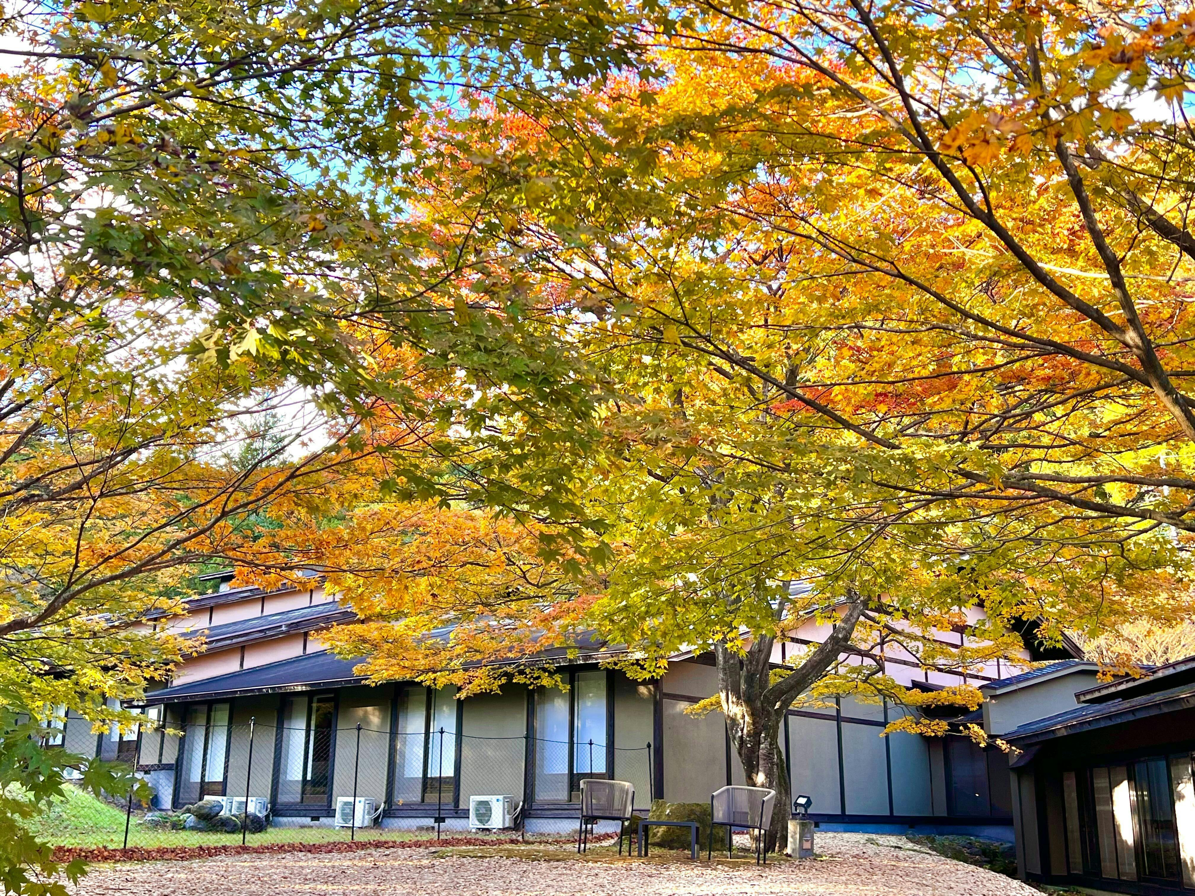 Traditional Japanese Retreat with Your Beloved Dog - Akagi Mountain - Natsukashi