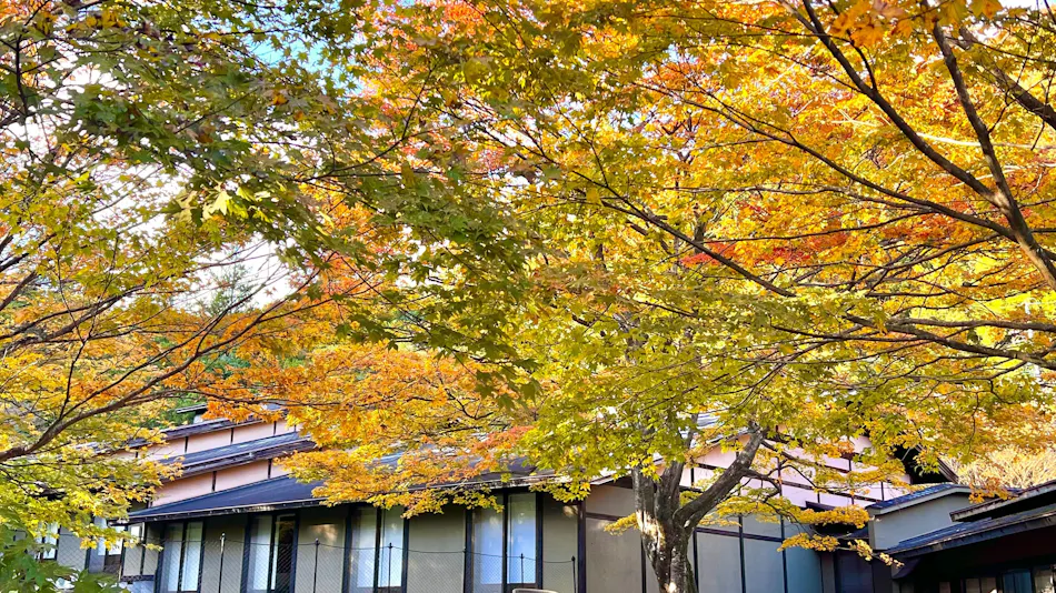 Traditional Japanese Retreat with Your Beloved Dog - Akagi Mountain - Natsukashi
