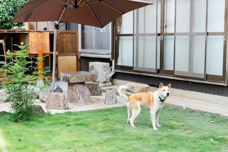 Guesthouse Kimama
