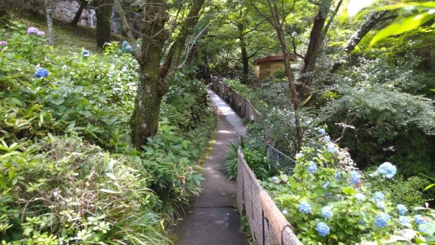 Hakone Kiga Onsen KKR Hakone Miyanoshita (National Public Service Mutual Aid Association Miyanoshita Resort)