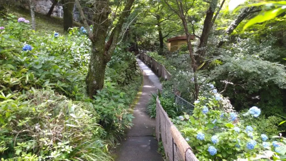 Hakone Kiga Onsen KKR Hakone Miyanoshita (National Public Service Mutual Aid Association Miyanoshita Resort)
