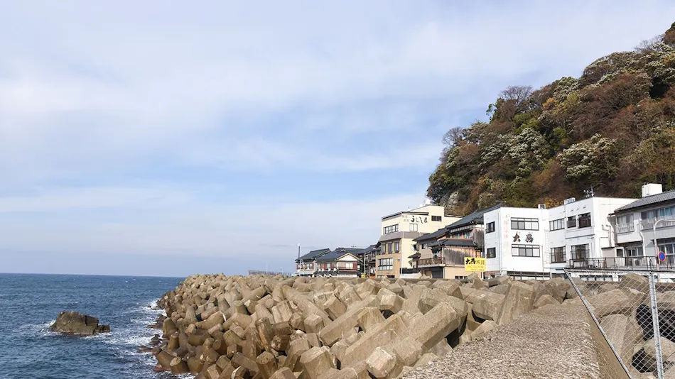 Ryokan Onishi