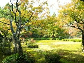越前　料理旅館　大西