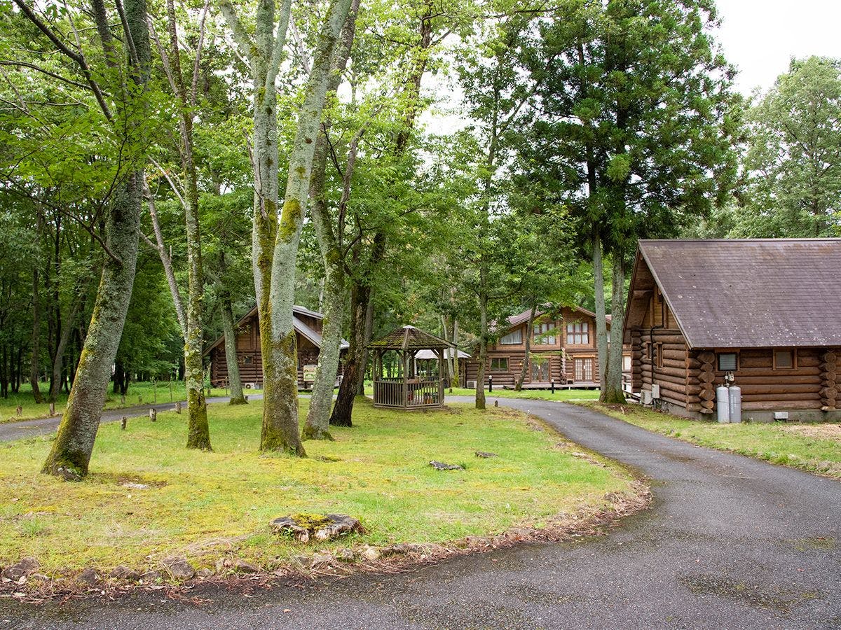 *บริเวณรอบๆ บ้านไม้ล็อก