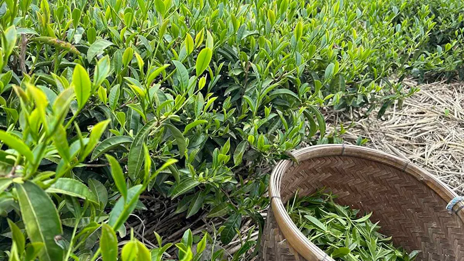 Farm Stay Taoyuu