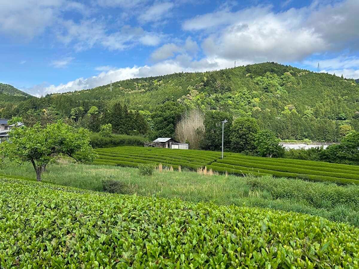 Farm Stay Taoyuu