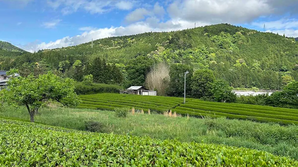 Farm Stay Taoyuu