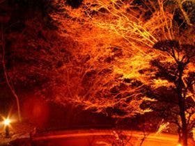 たつの市国民宿舎　志んぐ荘